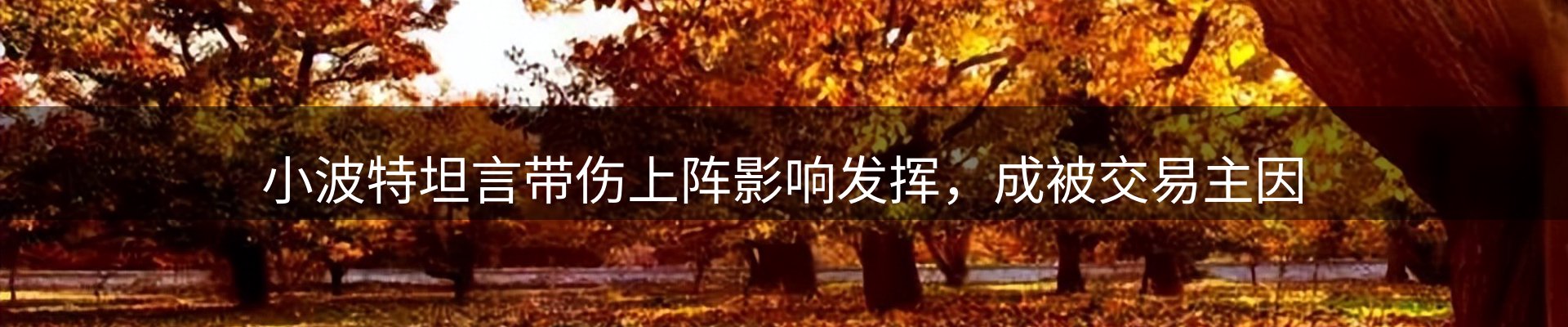焦点窗口